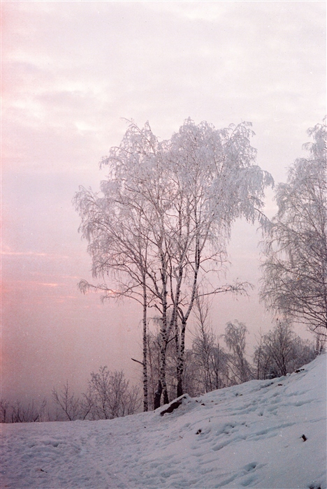 Фото жизнь