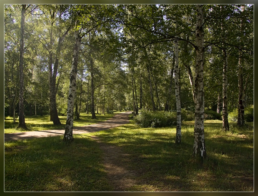 Фото жизнь