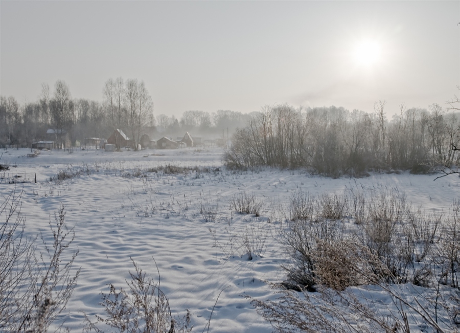Фото жизнь
