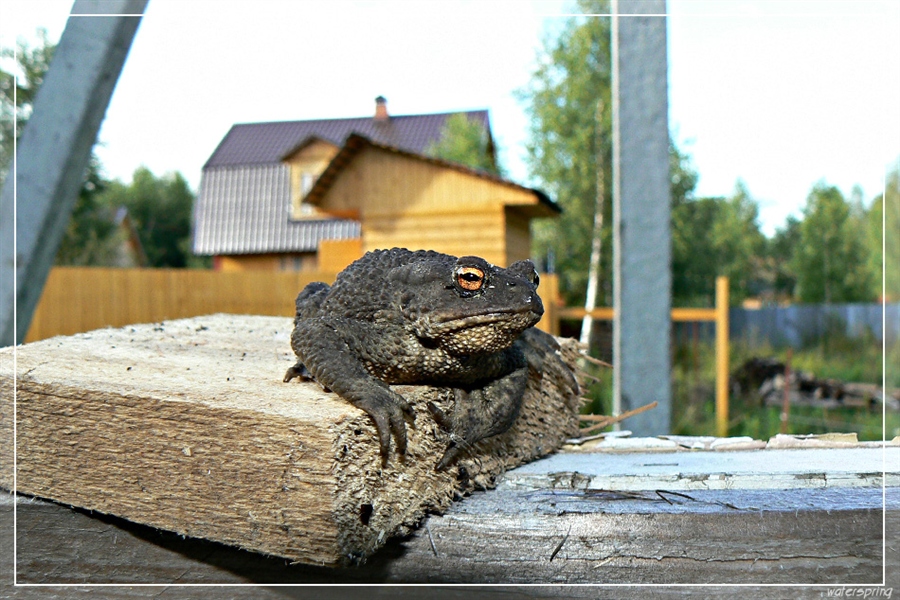 Фото жизнь