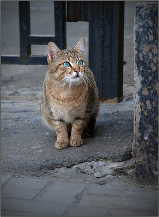 Фото жизнь