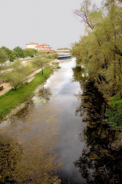 Фото жизнь (light) - Alewtina - Природа - Черногория