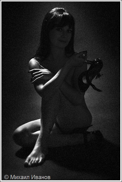 Фото жизнь (light) - klassikstudio - Ню - 004