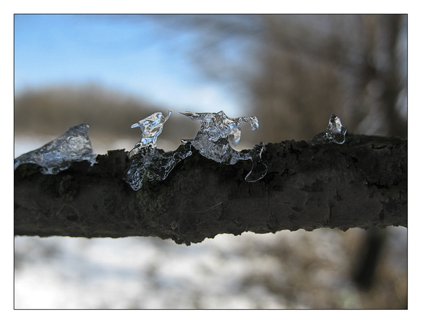 Фото жизнь (light) - photonov - THE NATURE - ***