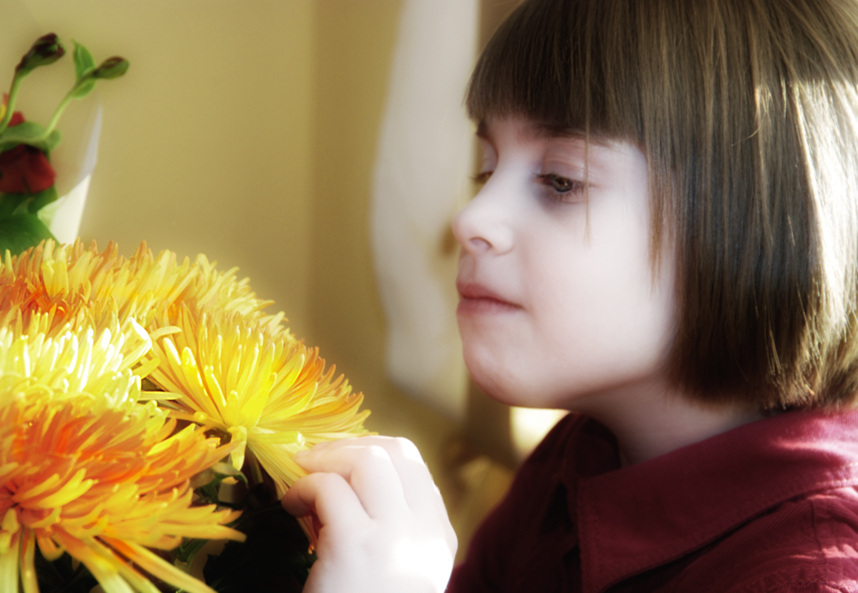 Фото жизнь (light) - Headhunter - корневой каталог - солнечные цветы