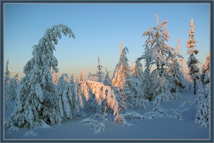 Фото жизнь - Виктор Солодухин - Сказочная зима - Поклоны солнцу