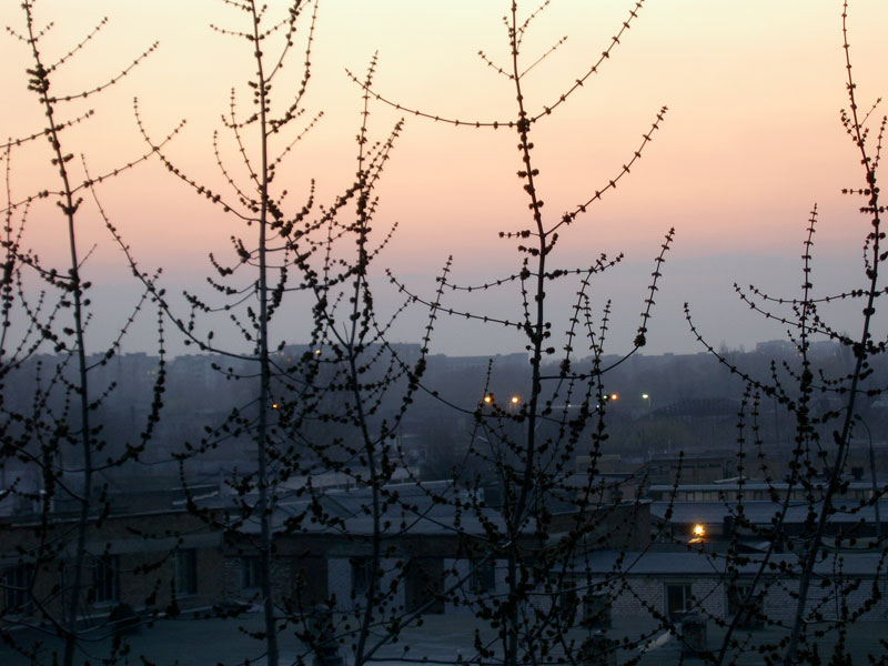 Фото жизнь (light) - Al - Свалка - тускнеет закат в дыму и тумане весны
