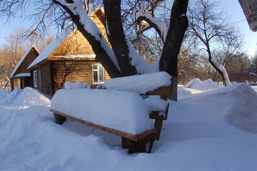 Фото жизнь