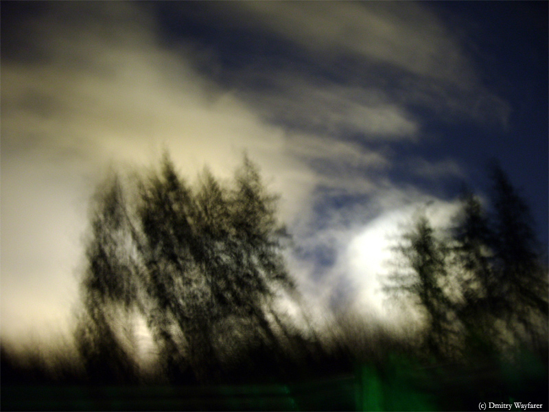 Фото жизнь - Dmitry Wayfarer - корневой каталог - Ночные тени