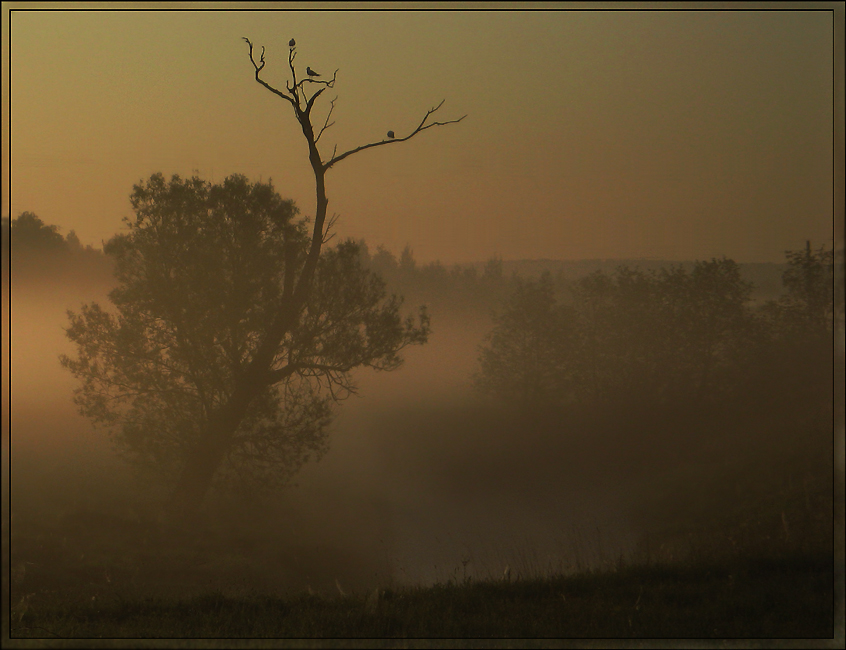 Фото жизнь (light) - Эльф - корневой каталог - Утро в тумане.