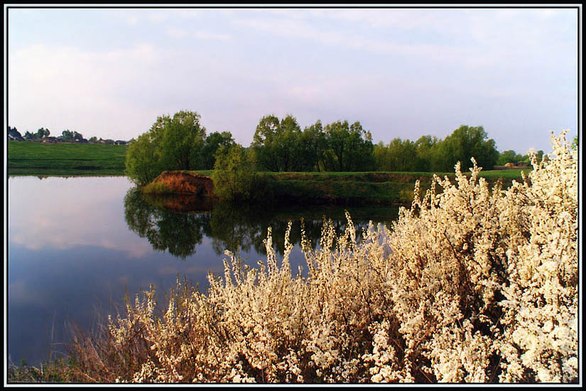 Фото жизнь (light) - Эльф -  ПЛЕНКА (Архив) - Сады цветут!