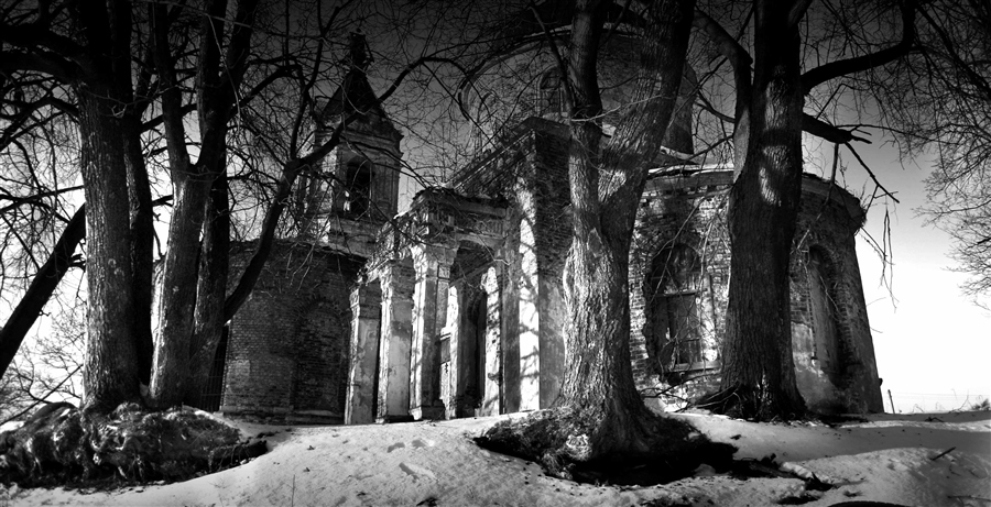 Фото жизнь