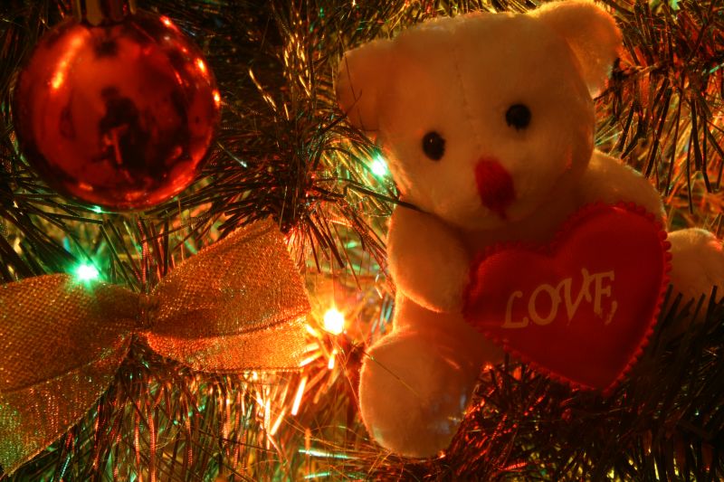 Фото жизнь (light) - Козлов Михаил - Натюрморты - Sweet Christmas Bear