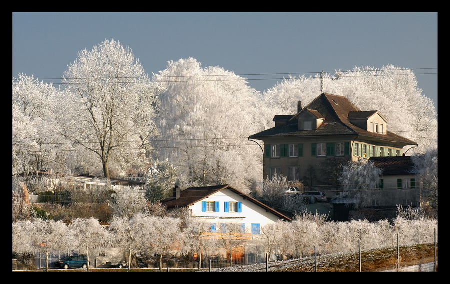 Фото жизнь