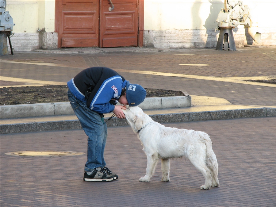 Фото жизнь