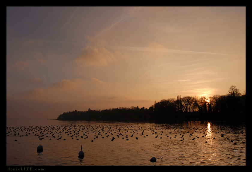 Фото жизнь (light) - spider238 - Landscape - Вечерние зарисовки