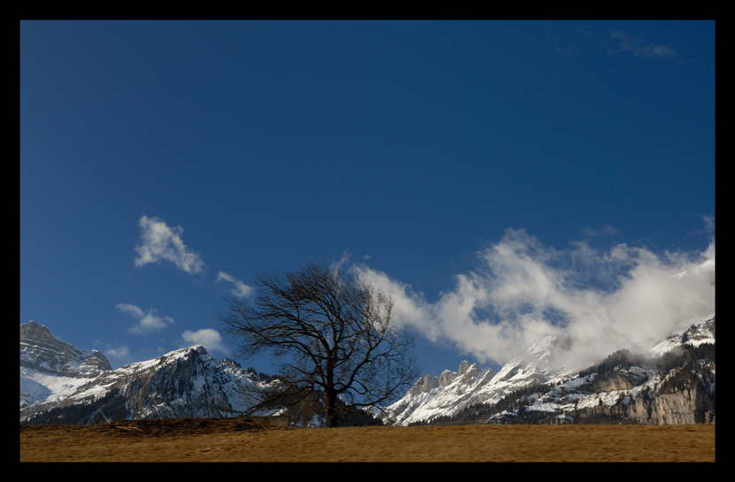 Фото жизнь (light) - spider238 - Landscape - |||