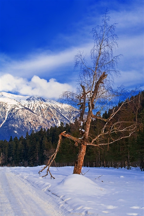 Фото жизнь