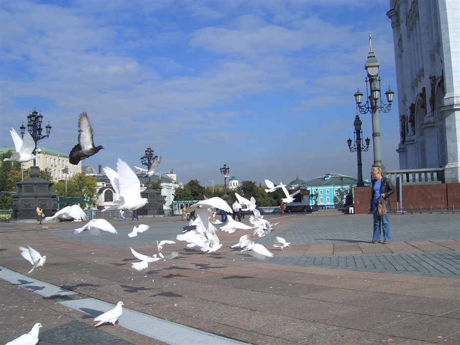 Фото жизнь