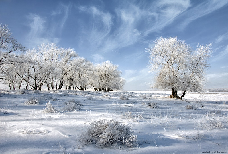 Фото жизнь (light) - Денис Богомолов - Landscapes - Классическая зимняя