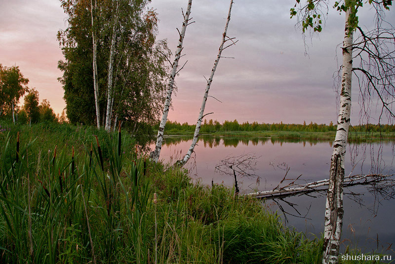 Фото жизнь