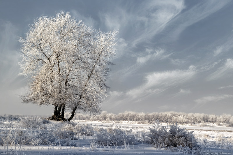 Фото жизнь (light) - Денис Богомолов - Landscapes - Тоска по лету