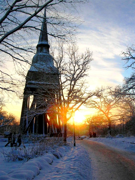 Фото жизнь