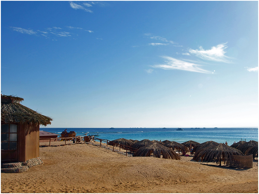 Фото жизнь (light) - Михаил Филиппов  - Почти летние зарисовки - Грибная полянка