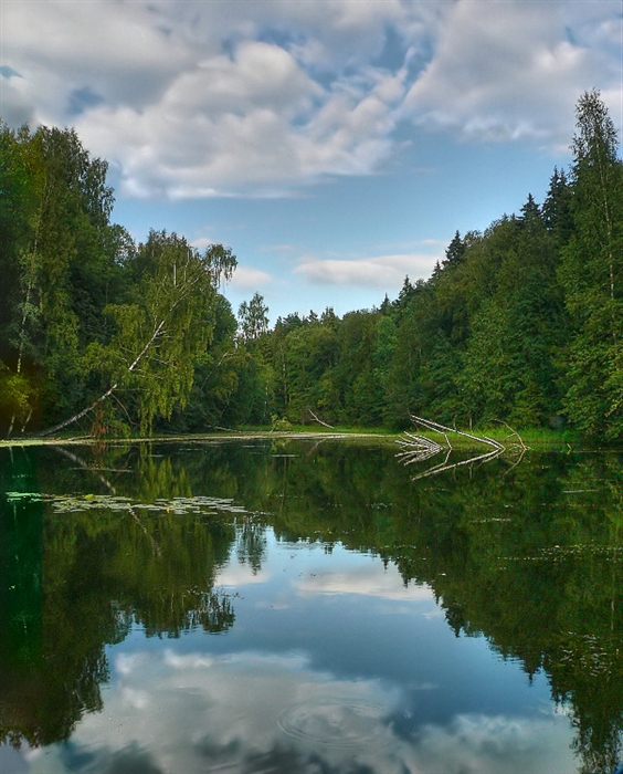 Фото жизнь