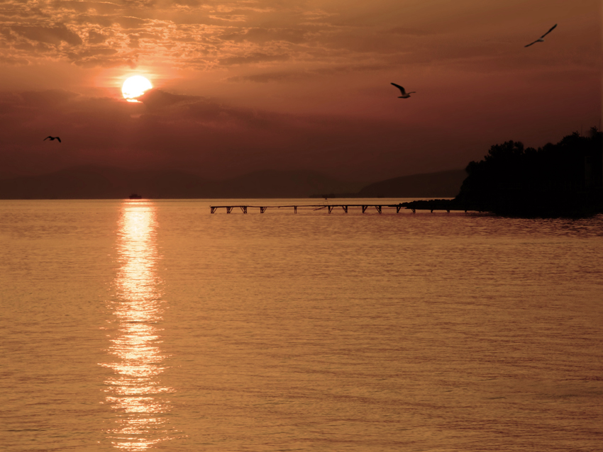 Фото жизнь (light) - RobinZone - прИрОдА И пУтЕшЕствИЯ - *