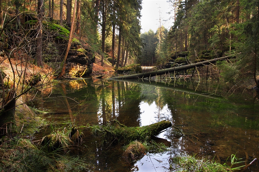 Фото жизнь