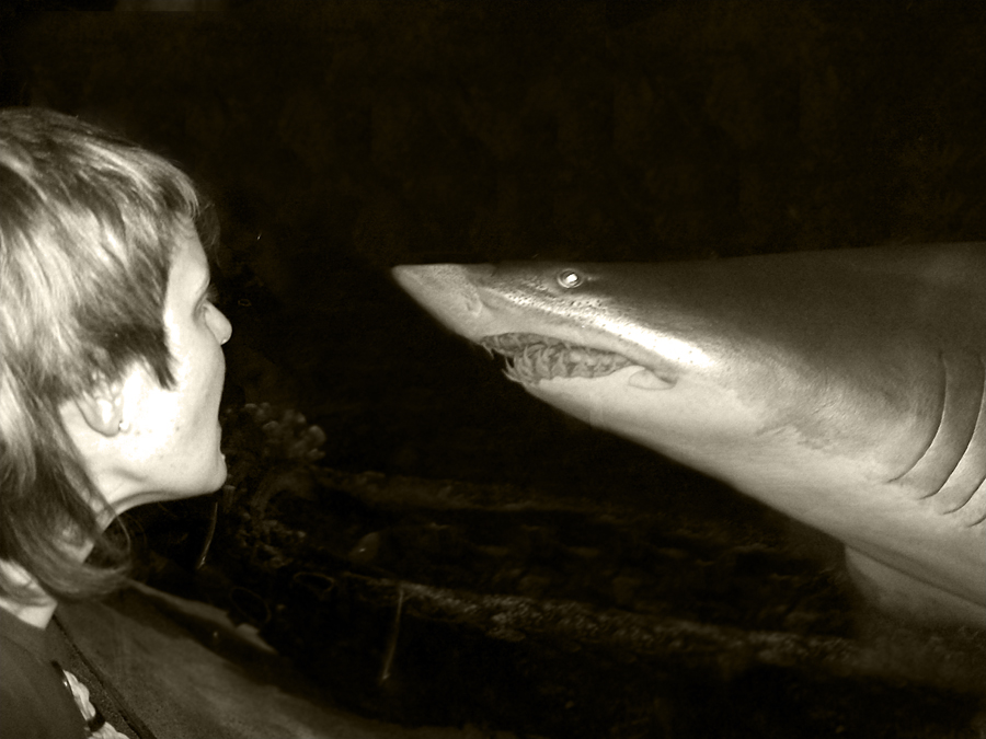 Фото жизнь (light) - dory - Разное - В зеркале моем...