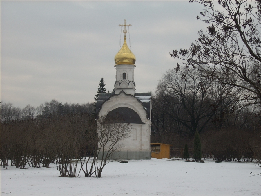 Фото жизнь