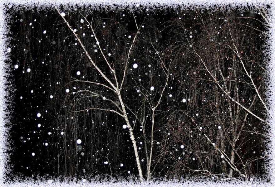 Фото жизнь (light) - 4IBIS - корневой каталог - Снегопад