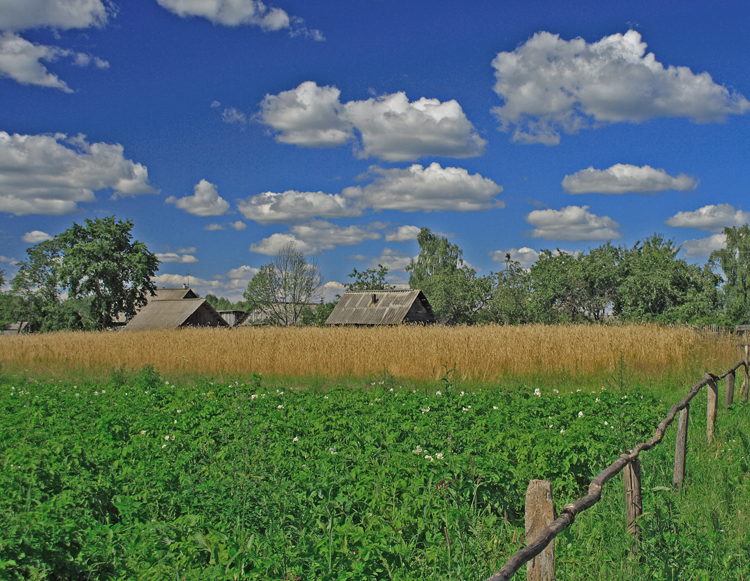 Фото жизнь (light) - Роман Розанов - Пейзаж - Из серии "полторы тысячи верст в поисках натуры" Деревенское небо 57? 45