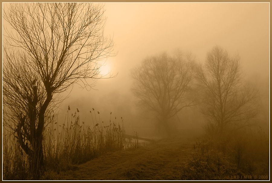 Фото жизнь (light) - Vladimir Landin - Как сон чарующий туман - Случайно  забредя  в  туман...