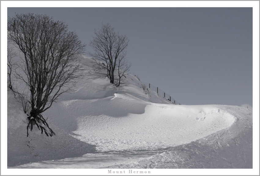 Фото жизнь (light) - spider238 - Landscape - Cнежные дюны