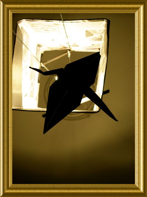 Фото жизнь (light) - Сергей Малюгин - Ракурс - бумажный лебедь