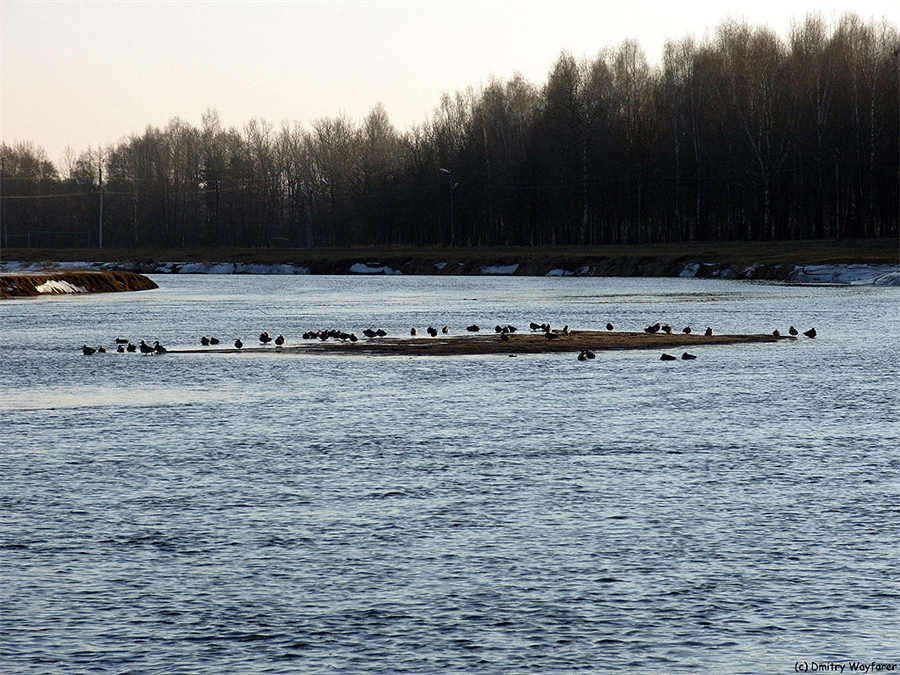 Фото жизнь