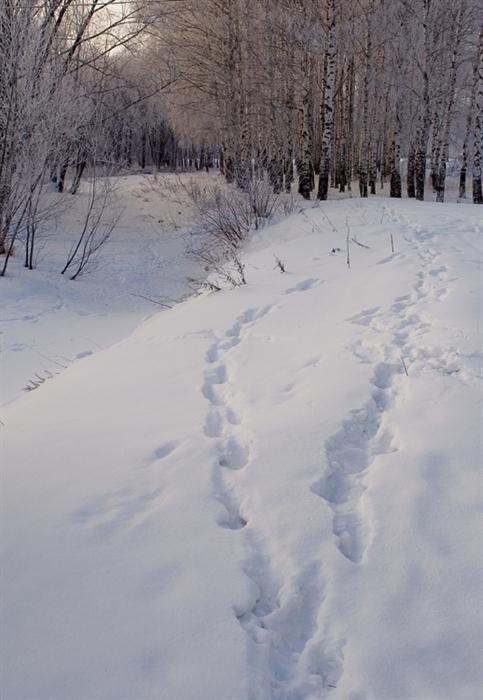 Пейзаж