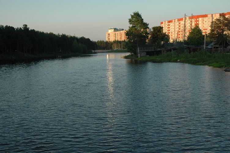Фото жизнь