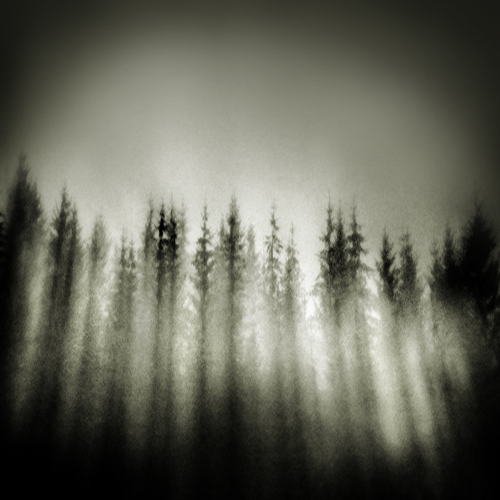 Фото жизнь (light) - Alexander Mikhailenko - Карпаты - где-то там бродит в тумане лошадка