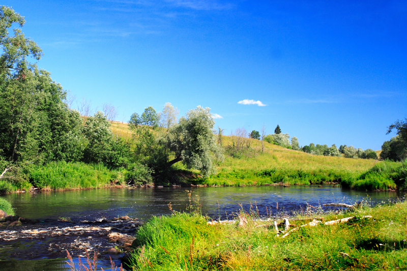 Фото жизнь (light) - Роман Розанов - Пейзаж - Из серии "полторы тысячи верст в поисках натуры" р. Полисть 2