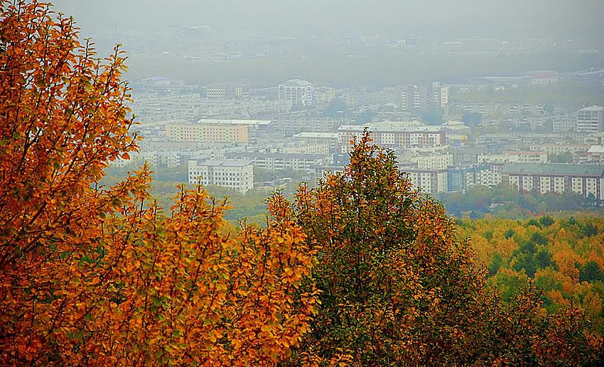 Фото жизнь (light) - Sunny (Ирина В.) - Работы Cолнечной (наша природа) - На Южный опускется туман