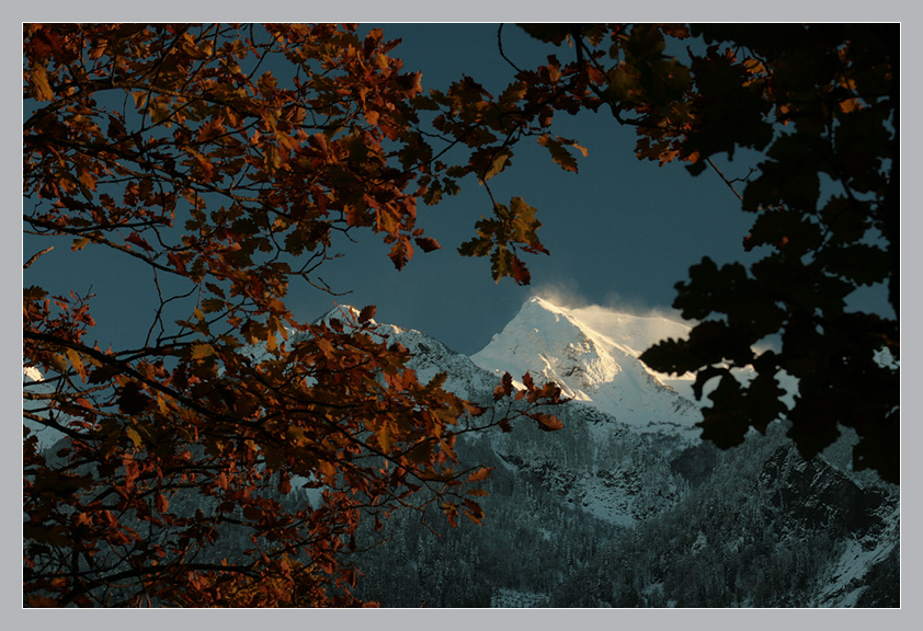 Фото жизнь (light) - Thila - корневой каталог - ...зима уже не за горами...