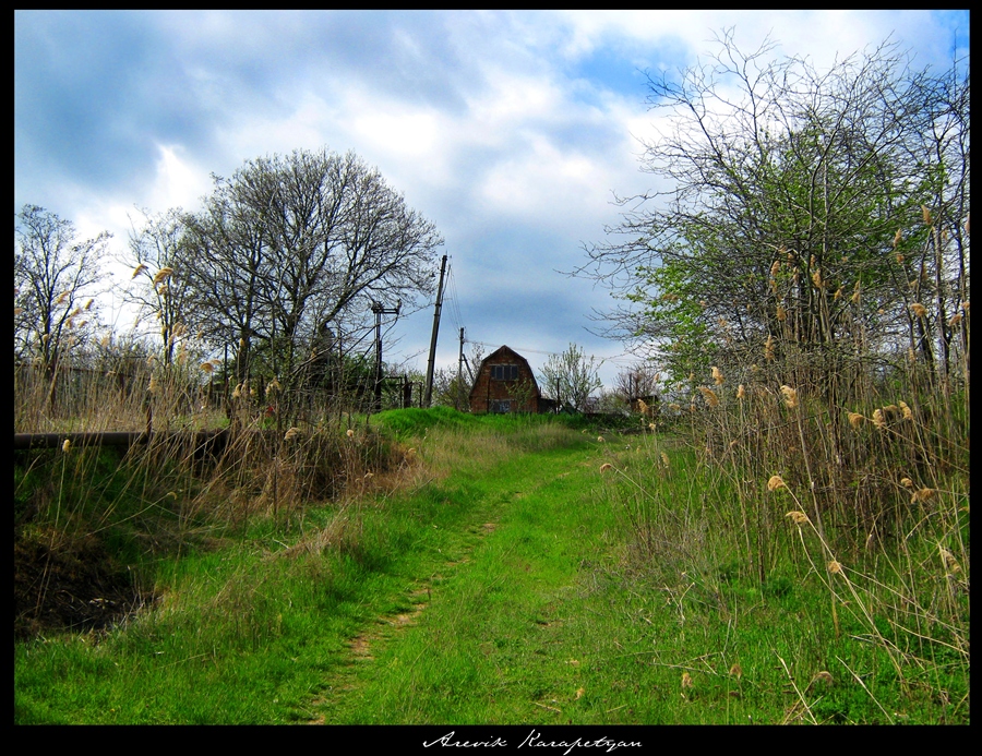 Фото жизнь