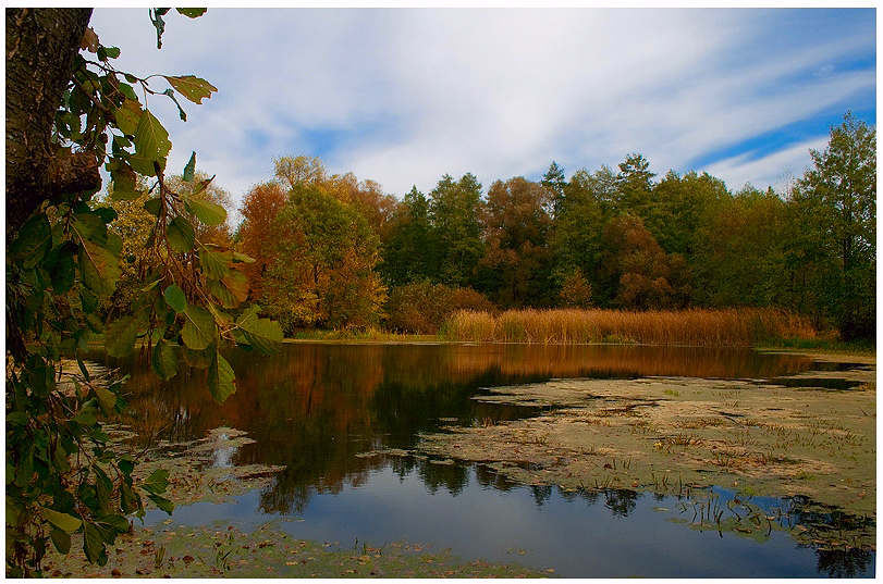 Фото жизнь - Светлана Морсина - Осенние пейзажи - Осенние всполохи цвета