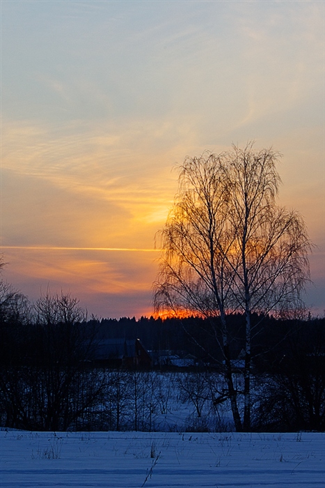 Фото жизнь