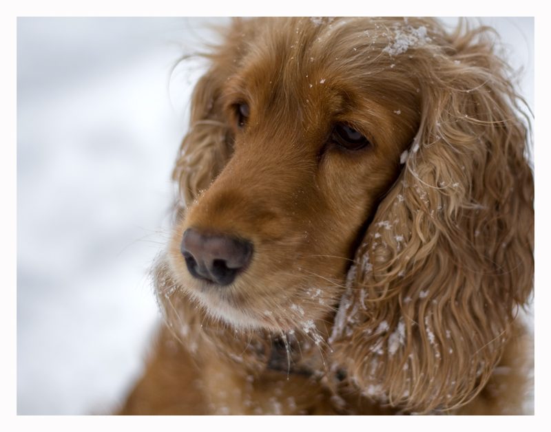 Фото жизнь (light) - Вадим Межевикин - корневой каталог - ***