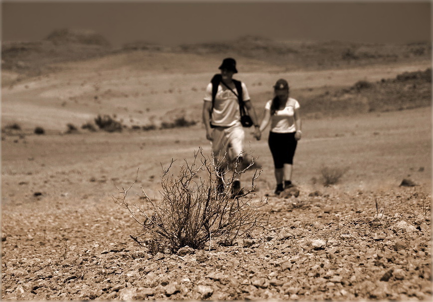 Фото жизнь (light) - green - корневой каталог - прогулки по пустыне